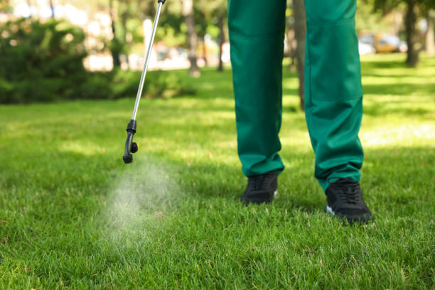 Best Affordable Pest Control Services  in Herricks, NY