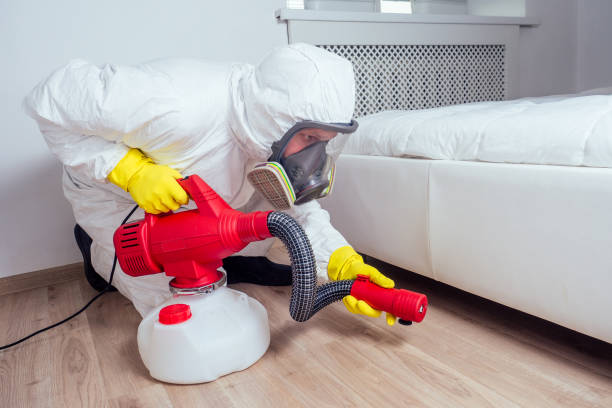 Best Ant Control Services  in Herricks, NY