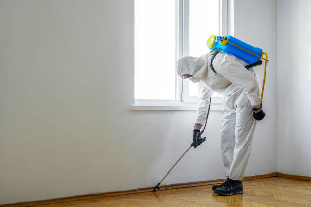 Pest Control for Restaurants in Herricks, NY