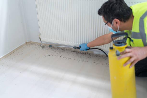 Professional Pest Control in Herricks, NY