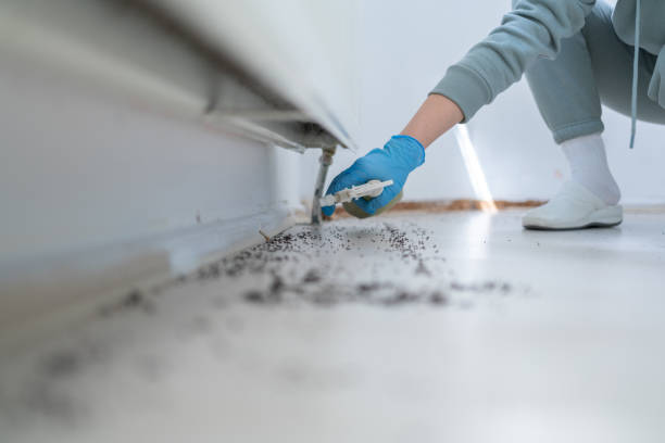 Best Rat Extermination Near Me  in Herricks, NY